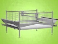 Texha Layer Battery Cages