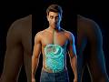 30 Days to Fix Your Gut and Clear Brain Fog #guthealth #transformation #brainfog