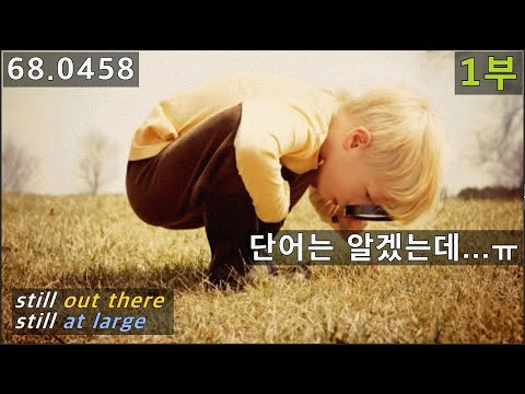 <strong>out</strong> <strong>there</strong>, at large 단어는 쉬운데 무슨 말인지 ㅠㅠ, 68.0458, 운배영