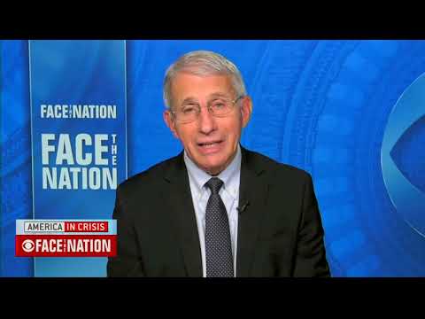 Anthony Fauci Doesn’t Rule Out Cancelling Christmas Gatherings, “It Is Just Too Soon To Tell”