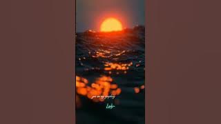 Alan walker lyrics video aesthetic ringtone mix ringtone unity