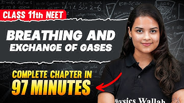 BREATHING AND EXCHANGE OF GASES in 97 Minutes | Full Chapter For NEET | PhysicsWallah