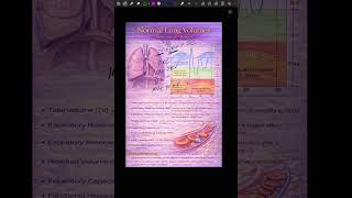 Lung volumes basics part 2🤍⚕️ #mbbs #shorts #anatomy #biology #new #education #neet