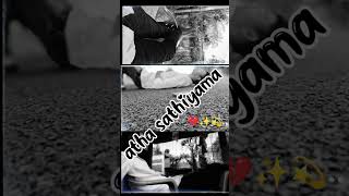 Download Lagu The master piece song in 1979#rosa poo ravikakari#leo#trending #lord #friends #subscribetomychannel# MP3