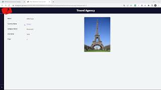 Types of Web Panels