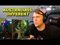 American shocked by MASSIVE Australian Saltwater Crocs