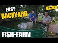 Cheapest Way To Start Fish Farming