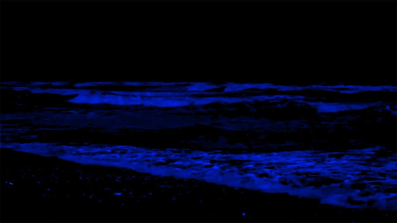 Instantly Deep Sleep Ocean Waves | Dark Screen Ocean Sounds for Restful Nights and Relief Insomnia