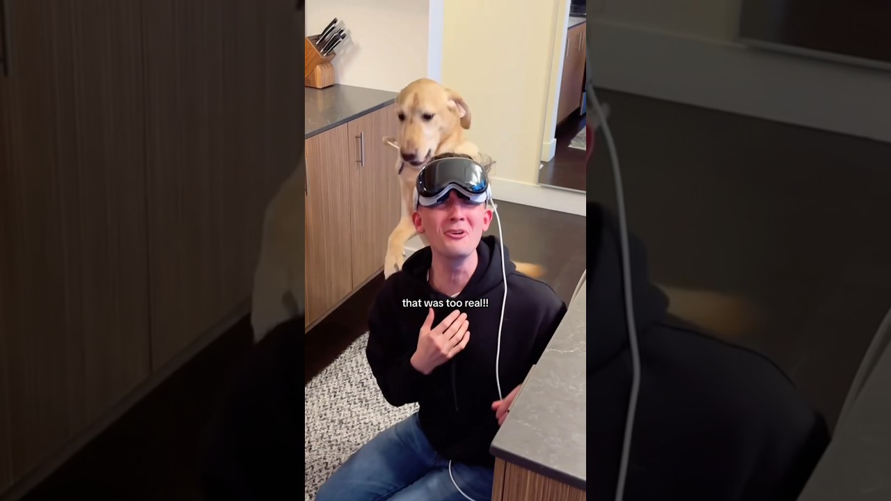 Guide dog PRANKS blind man (I’m HOWLING) 😂 