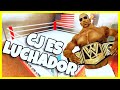 GTA San Andreas Loquendo - CJ es Luchador