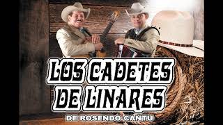 Video thumbnail of "Las Botas de Animal Raro - Los Cadetes de Linares"