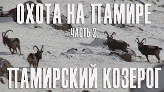 Охота на Памире. Часть 2. Памирский козерог. Hunt in Pamir. Part 2. Pamir Ibex.