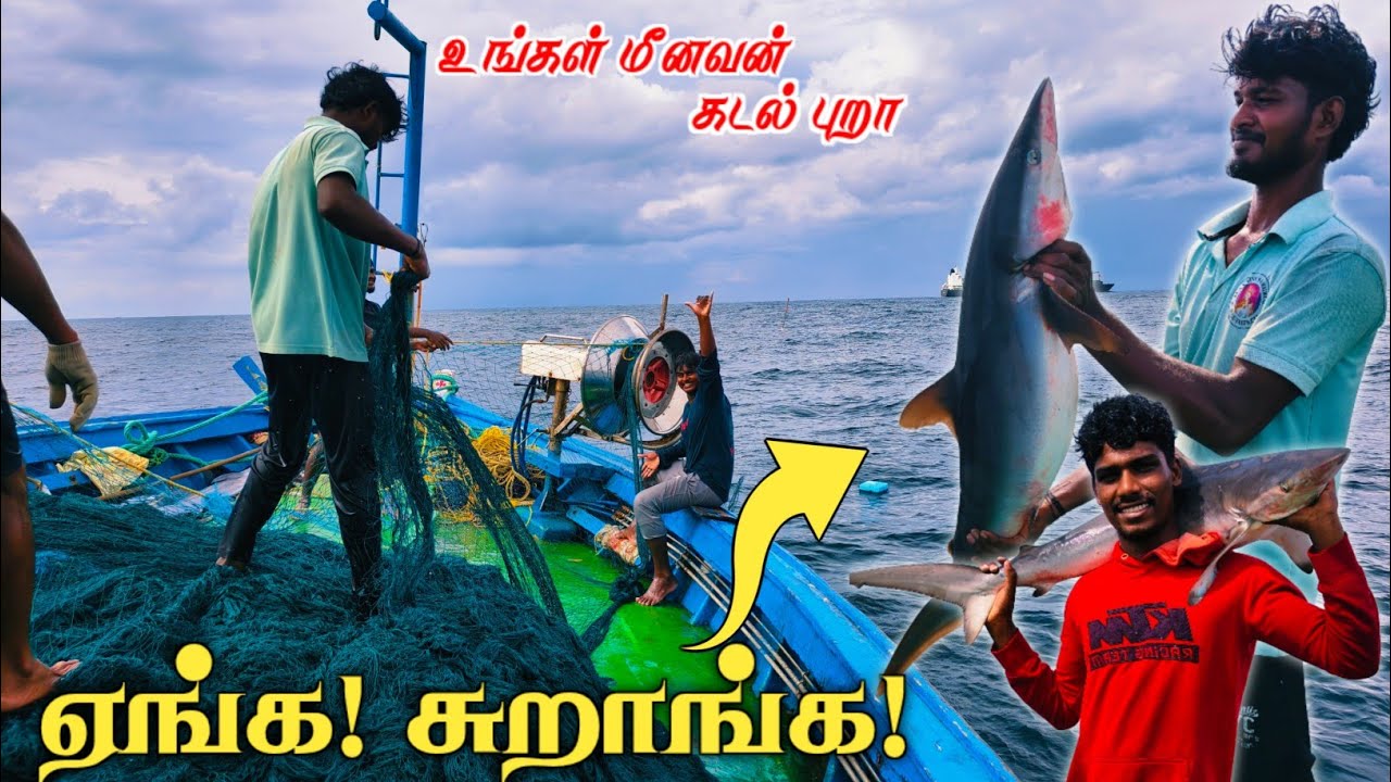 Ohh❗FIRST DAY 💢WE CAUGHT LOT OF MILK SHARK 'S🦈  AND BIG SIDE DISH FISHE'S⁉️ IN DEEP SEA FISHING 