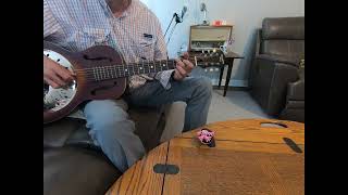 roosters lay eggs in kansas (intermediate fingerstyle guitar lesson) 1936