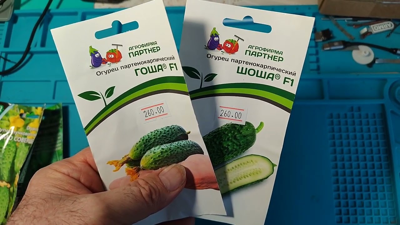 Мои сорта огурцов для посадки в сезоне 2026 года. #огурцы #огород #дача 