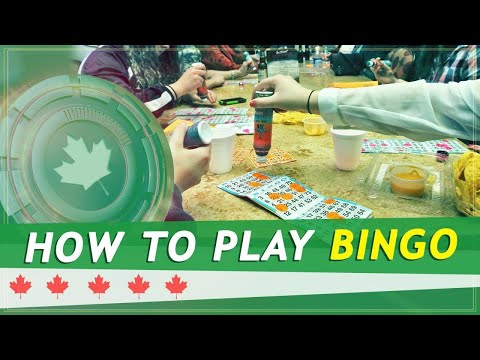 BEST CRYPTO CASINO ROOBET | Unlock an Epic Starter Bonus Up to $1400!
