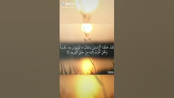 #حالات واتس دبنية ،، ولقد خلقنا الانسان ونعلم ماتوسوس به نفسه 💜قران كريم