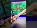 生活を楽にしてくれたモノ4選 by @ken-tm7pi