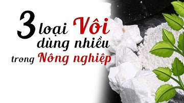 Vôi nông nghiệp – Bí quyết cải tạo đất và giúp cây trồng phát triển bền vững
