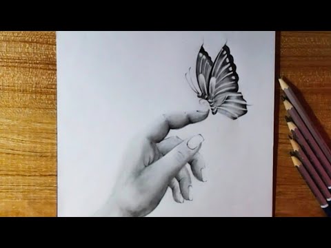 Butterfly Drawing// How To Draw butterfly//pencil sketch - YouTube