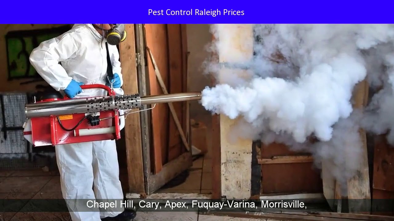 Best Exterminator Raleigh NC