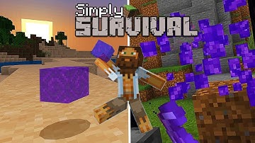 Nether Portal Block Farm 100% in Survival! Minecraft 1.16+ (Tutorial) MCPE Xbox,Windows,Switch,PS