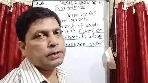 Class V EVS 24 06 2021 by Mr Rupesh Chapter 2 Bones and Muscles