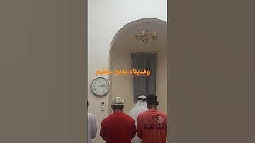 نسيم الفجر معطر بذكر الرحمن سورة الصافات آيات #القرآن_الكريم #ramadantaraweeh #beautiful #ti #hanzla