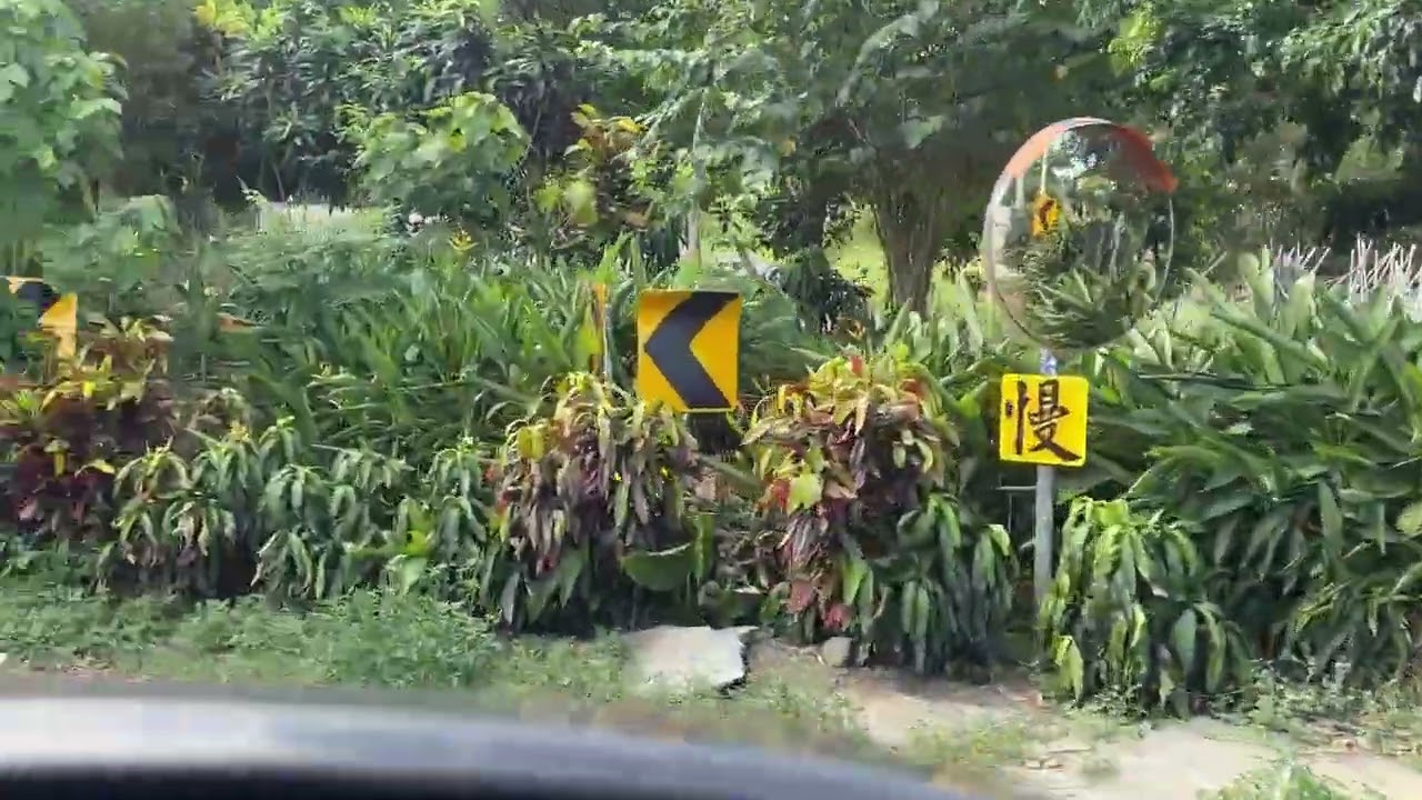 2024/7/14 太麻里金針山 最新路況