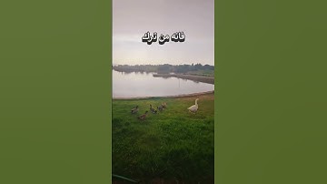 #المصحف #اكسبلور #اذكار_الصباح #الرحمن