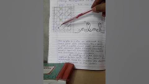 TD304, PILE STRUCTURE 3.2 WARP PILE WITH AID OF WIRE, ALTERNATE  &W SHAPE PILE  BY PARAS MAL