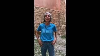 Escuela Internacional de Sedimentología en Albarracín