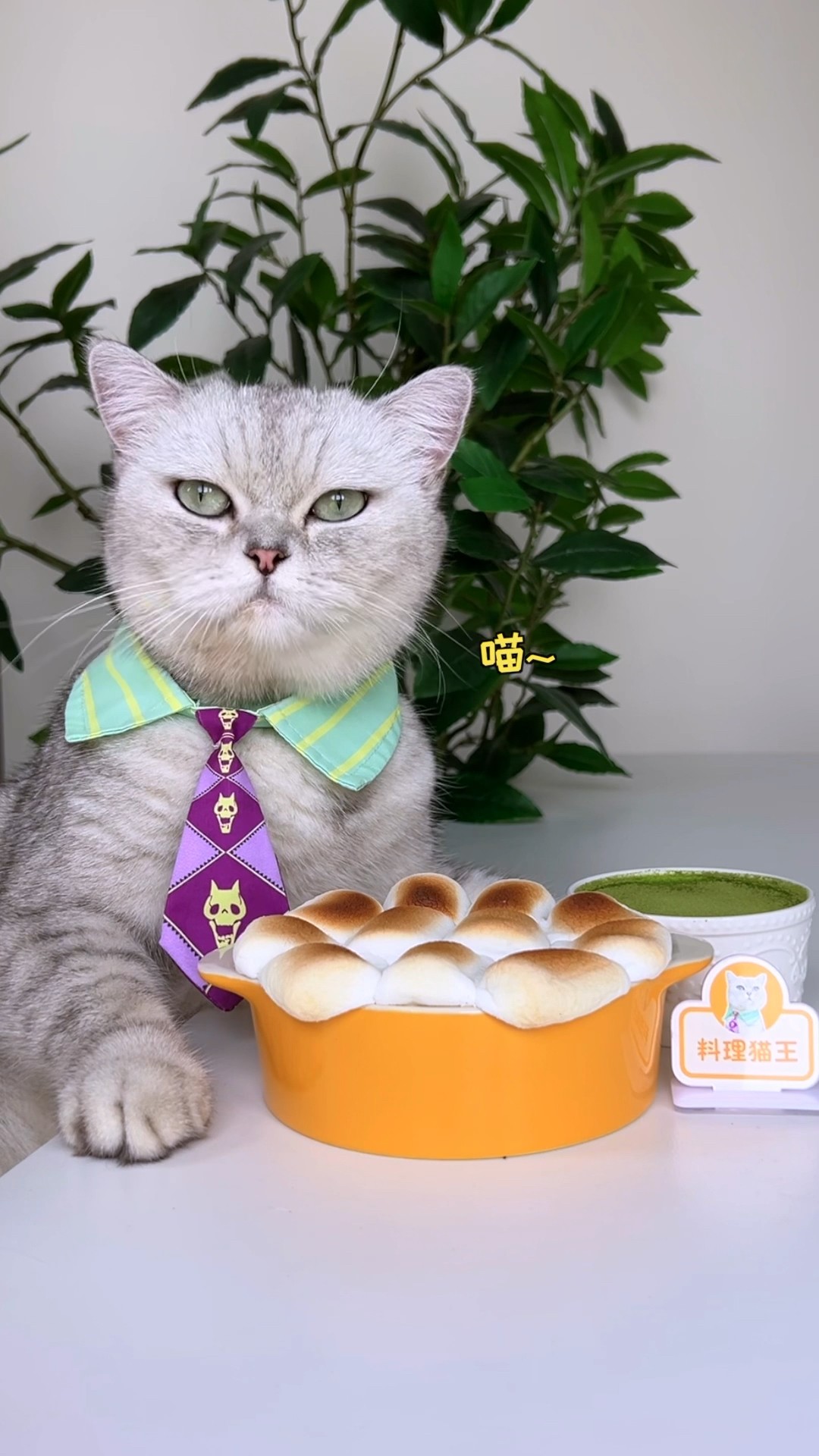 Wow ? You must try this cake.It's too easy. #food #catofyoutube #asmr #cake