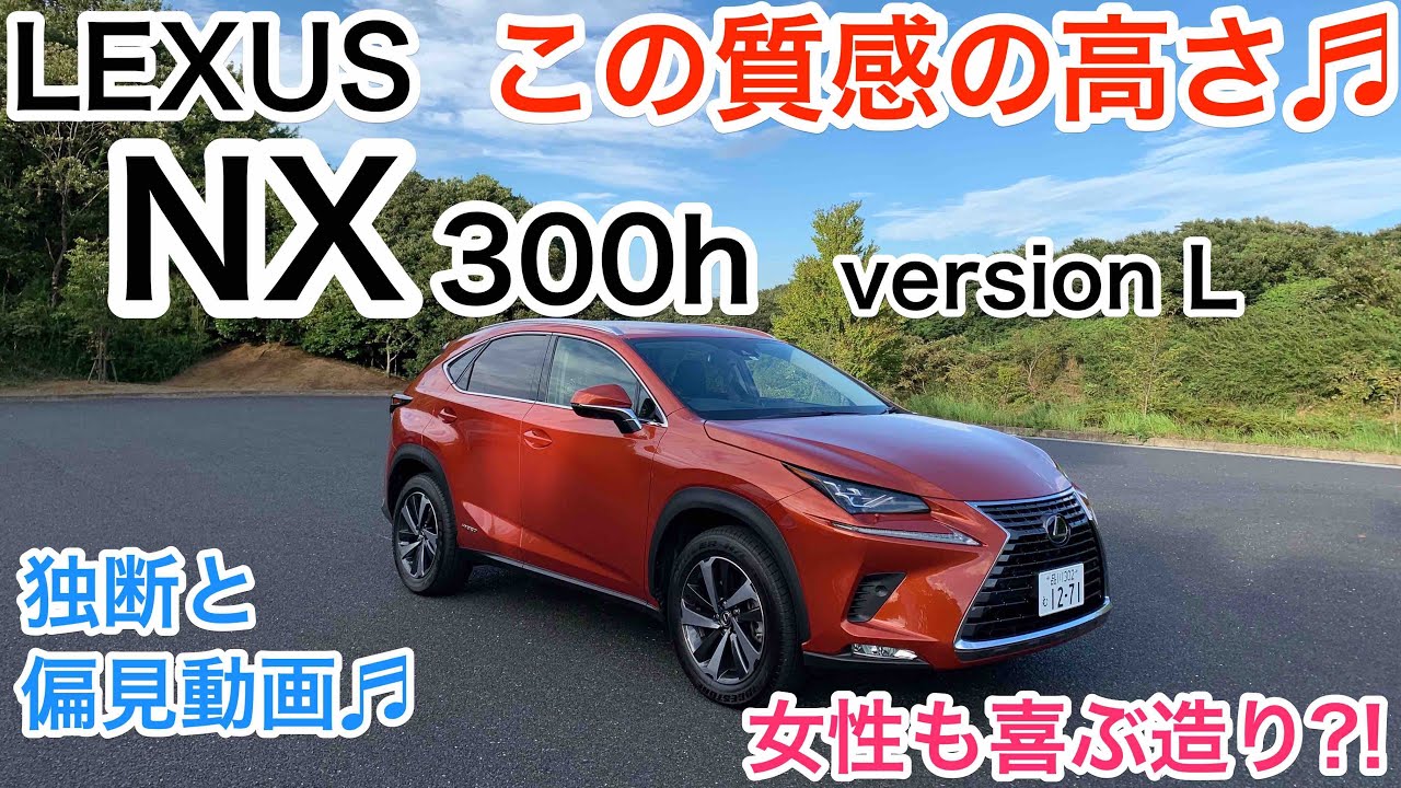 安いそれに目立つ Spoon リジカラ 1台分 <br> Lexus NX AYZ10 AYZ15 300h 2014 7〜 <br>スプーン 新品 