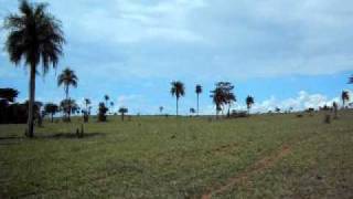 MOV00795.AVI
