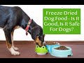 Is Freeze-Dried Dog Food Safe, Healthy, and Nutritious for Dogs? A Comprehensive Guide