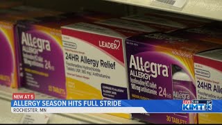 Allergy season comes to Rochester in full swing