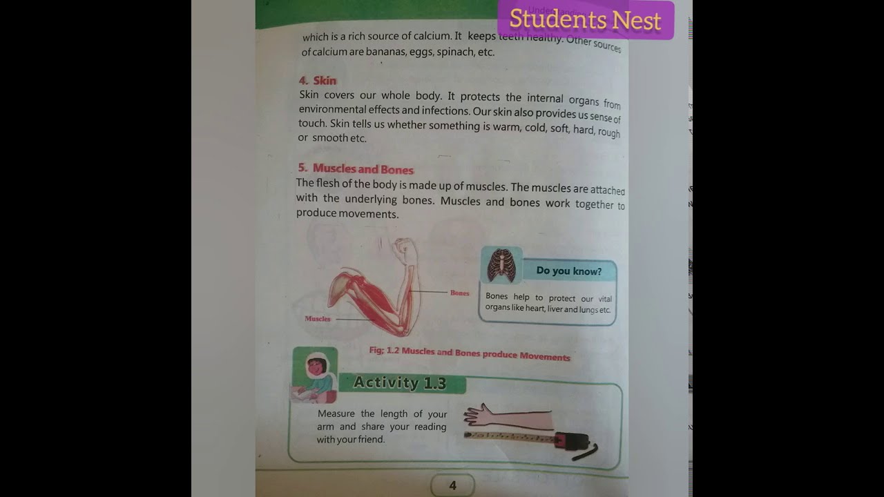 General Science- Class 4th- Chap. 01/ Lecture. 02 (KP text book- Pashto