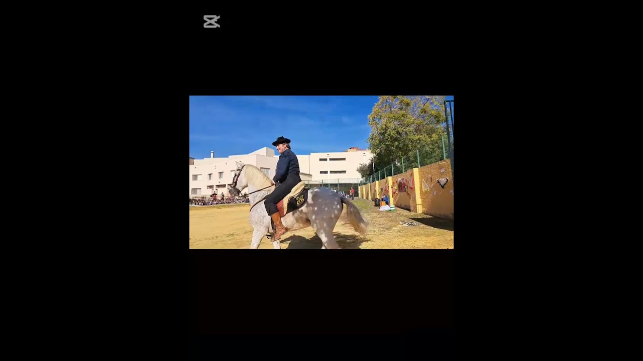 DÍA DEL FLAMENCO 2025, EN EL CEIP JUAN DE LA CUEVA