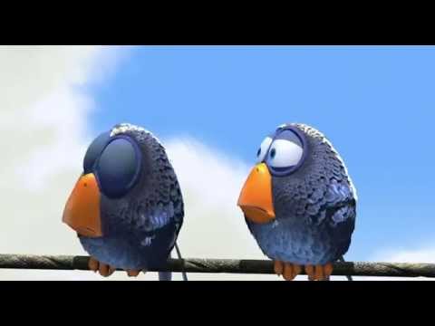 Video: De Ce Visează Păsările