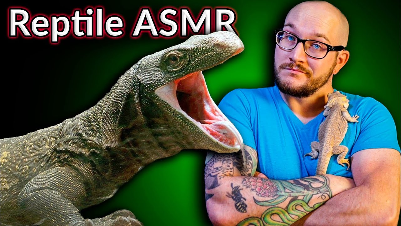 Top 5 Reptiles That Make INSANE Sounds, Screams, Chirps and ASMR