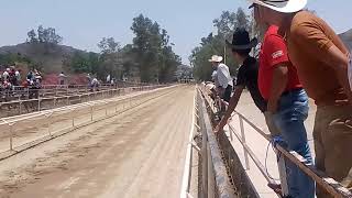 El alazán cuadra 3 marías vs pintó cuadra pájaros caidos