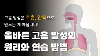 올바른 고음 발성(믹스보이스)의 의과학적 원리와 연습 방법