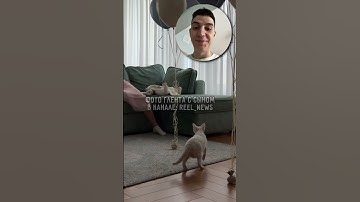 Глент ВПЕРВЫЕ показал своего сына 🥰 Видеши как назвали? 😍 #Глент #ВладГлент