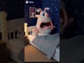 Буба хотел украсть бананчики 