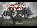 LA SEÑAL PROFÉTICA DE LA HIGUERA