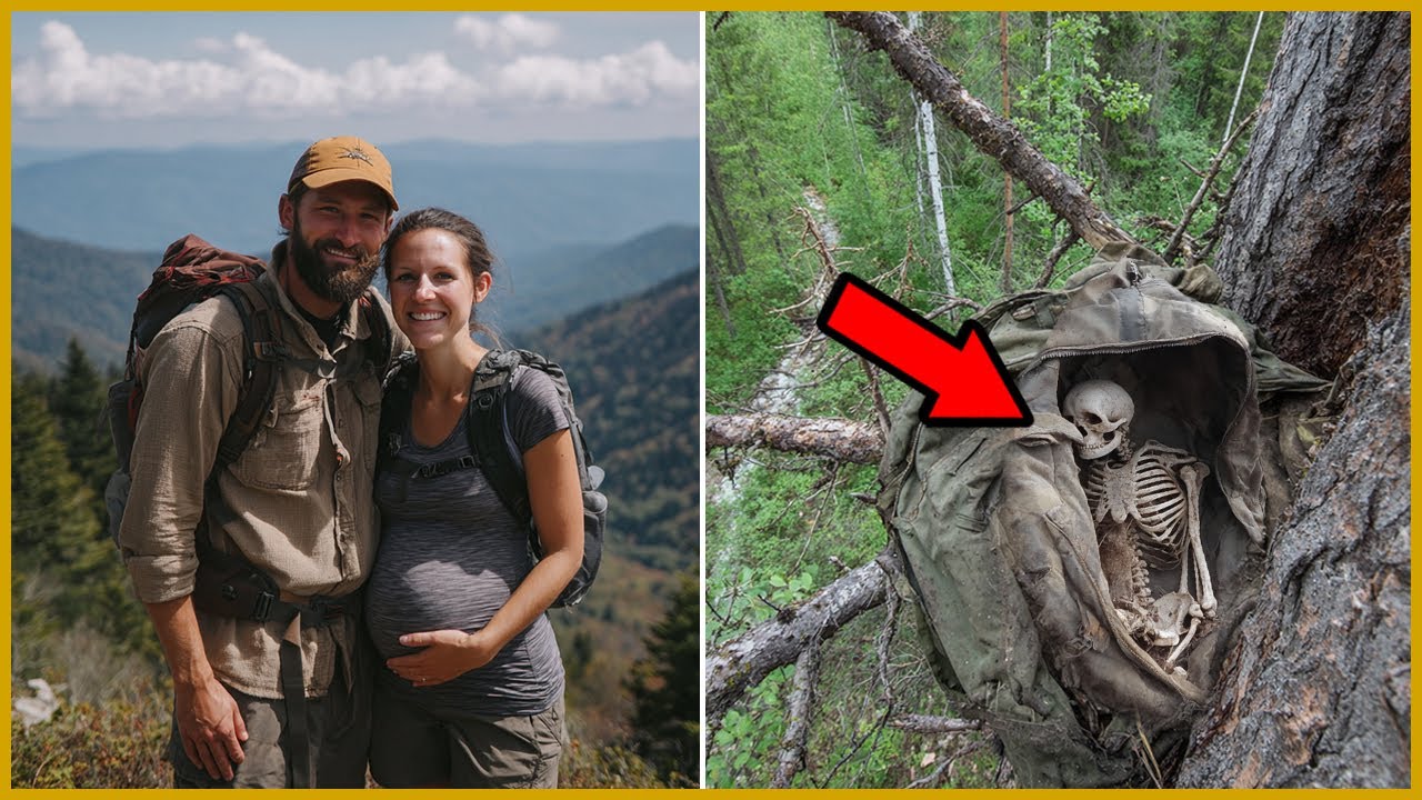Молодая пара Исчезла в Аппалачах — 10 лет спустя их Нашли в Спальнике на Дереве