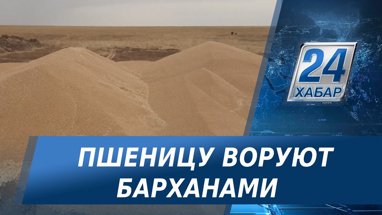 Ограбление по-атбасарски: кто и как ворует пшеницу с полей