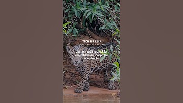 Managing Dependencies in Node.js Projects :: 2025-07-19 #shorts #TechTips #dotKey