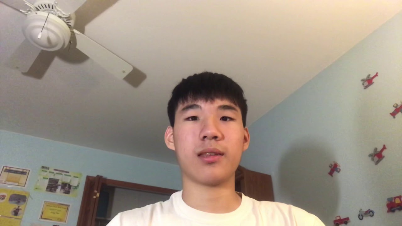 Day 339 YouTube